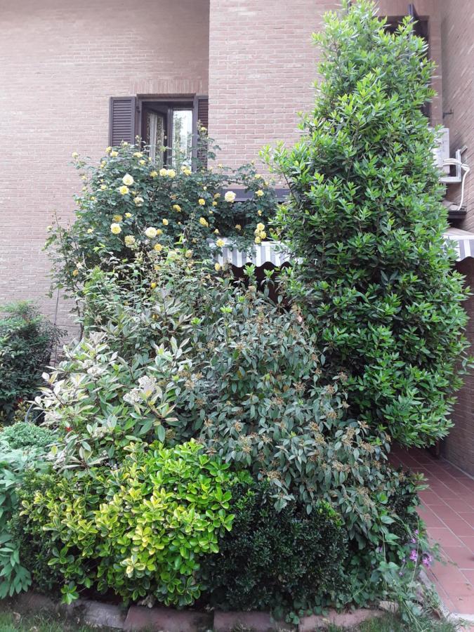 B&B La Rosa Gialla Maranello Exteriör bild