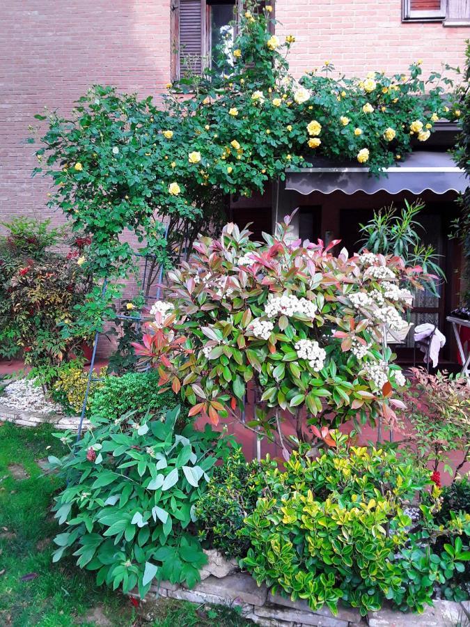 B&B La Rosa Gialla Maranello Exteriör bild