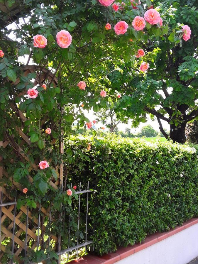 B&B La Rosa Gialla Maranello Exteriör bild